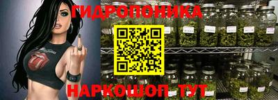 гидропоника Пенза