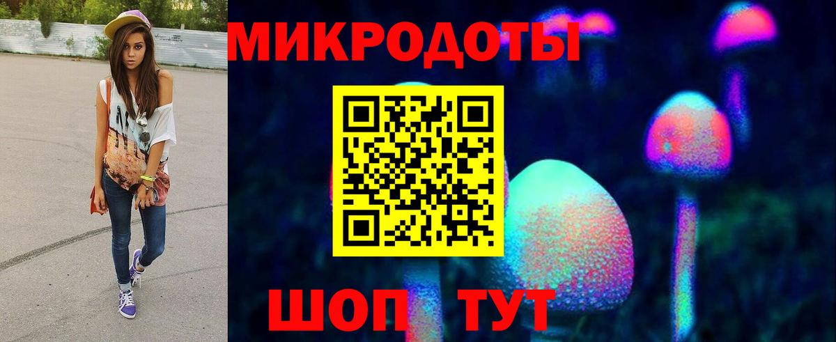 Псилоцибиновые грибы Psilocybine cubensis Белебей